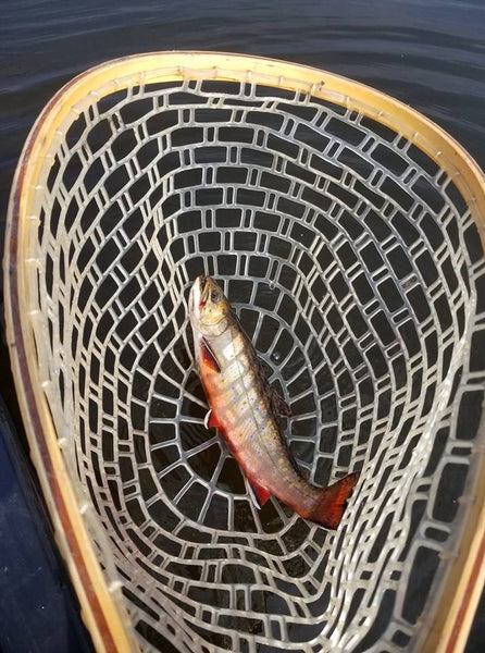 Remote Trout Ponds