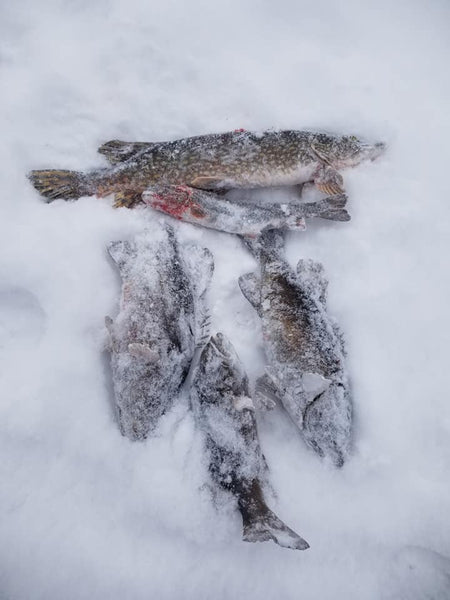 Great day on the ice!