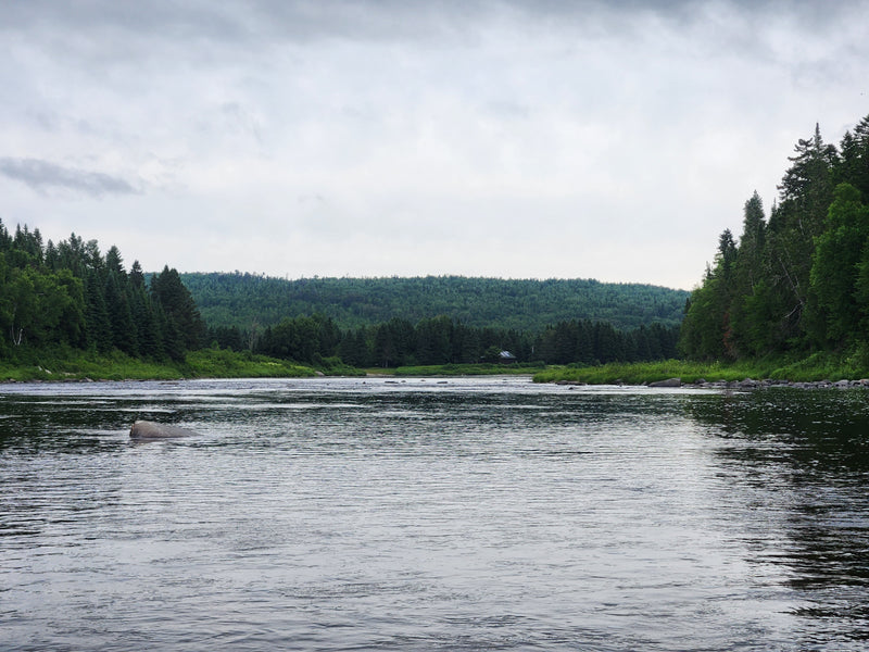 Allagash Wilderness Waterway June 2024 Days 4/5