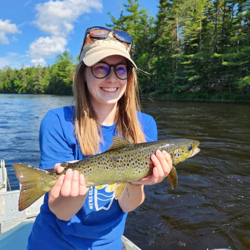 West Branch Penobscot River Maine