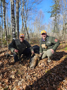 Maine Moose Hunt