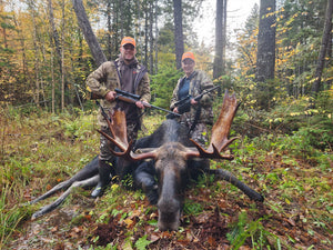 Maine Moose Hunt