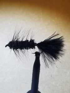 Woolly Bugger