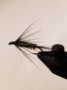 Carey Special