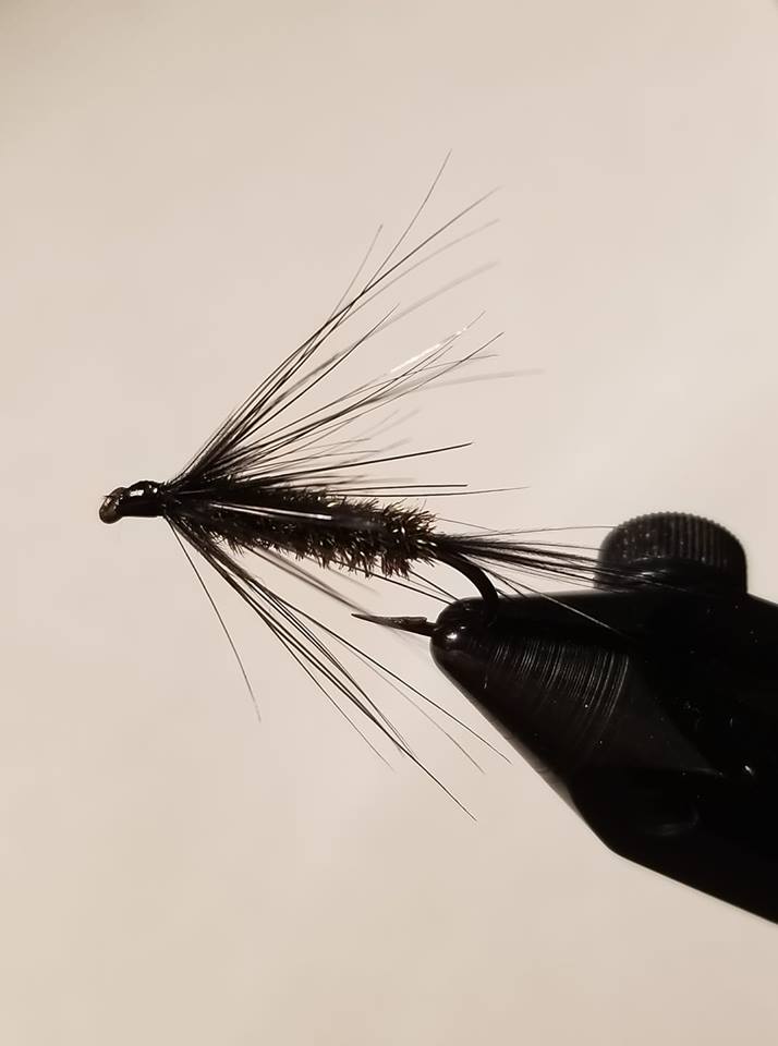 Carey Special