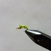 Double Bead Caddis Larva