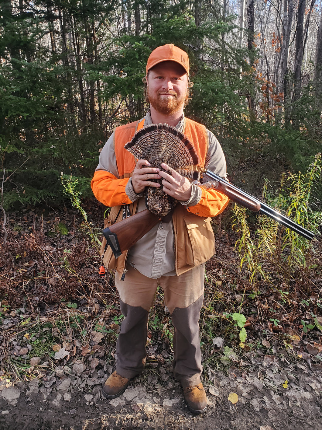 Maine Grouse Hunt