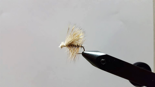 Elk Hair Caddis
