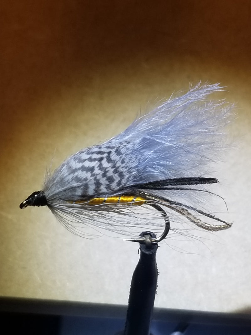Grey Ghost Fly