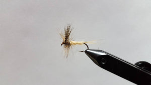 March Brown