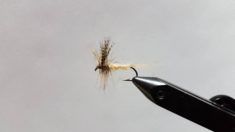 March Brown