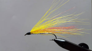 Mickey Finn