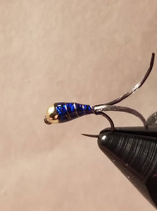 Navy Diver