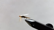 Prince Nymph
