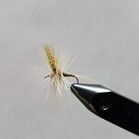 Red Quill