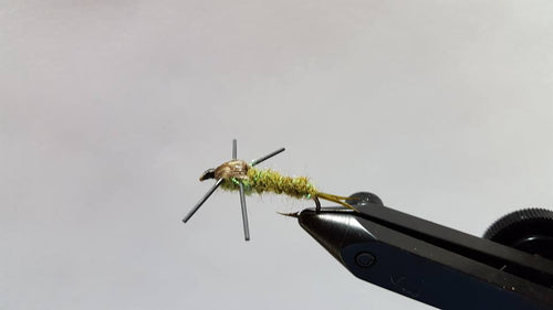Rubber Leg Stonefly