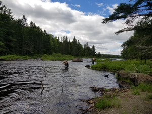 Maine Remote Pond/Stream Trip