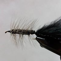 Woolly Bugger w/Bead