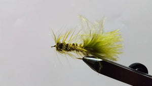 Woolly Bugger w/Bead