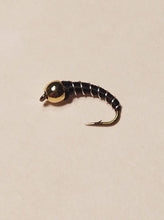 Zebra Midge