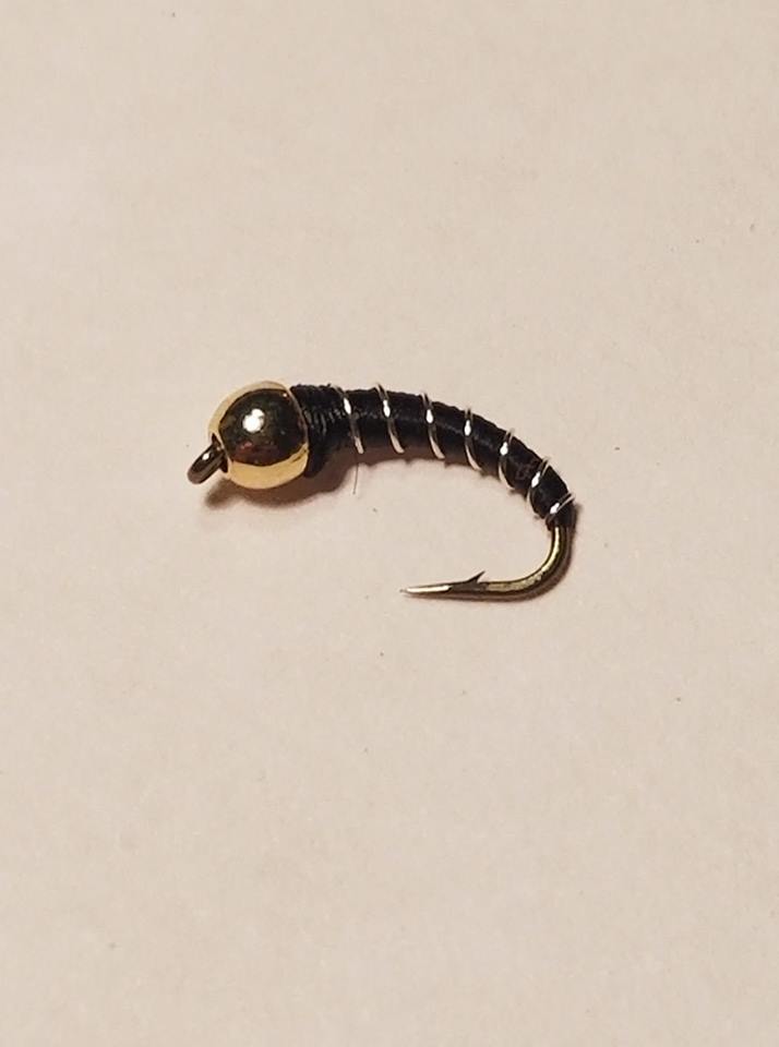 Zebra Midge