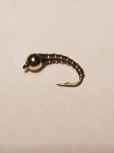 Zebra Midge