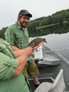 Smallmouth Bass